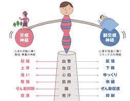 自律神経失調症のチェックシート 自律神経失調症治療専門 横幕鍼灸院 兵庫県神戸市灘区